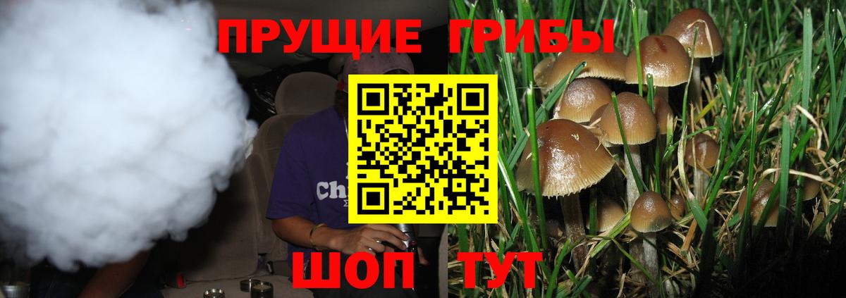 что такое   Псилоцибиновые грибы мухоморы  Вход с VPN  Йошкар-Ола 